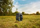 Zelená budoucnost: Pneumatiky Continental UltraContact NXT